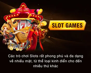 Ví Điện Tử Phổ Biến